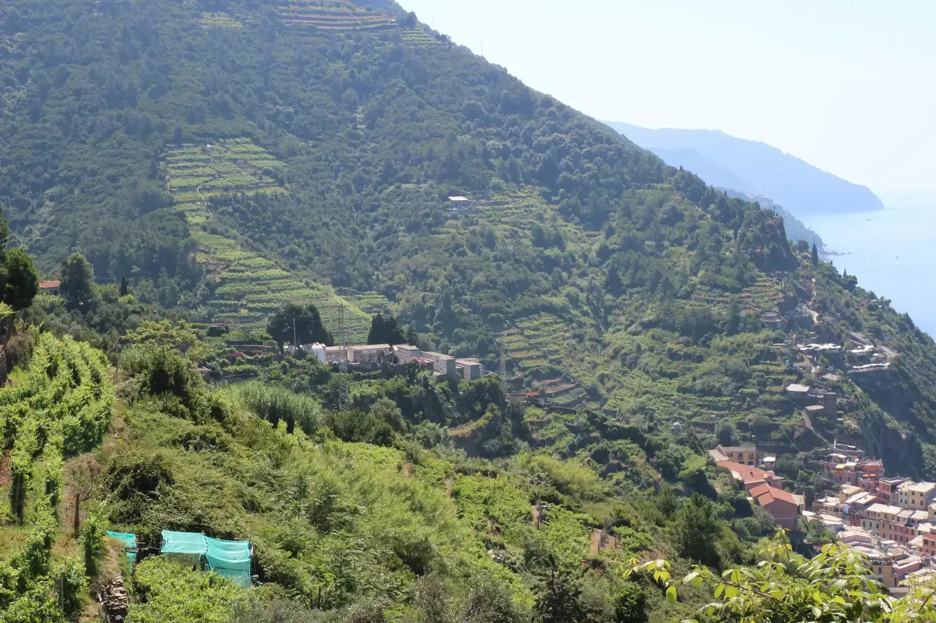 Cinqueterre – kan man drikke en udsigt