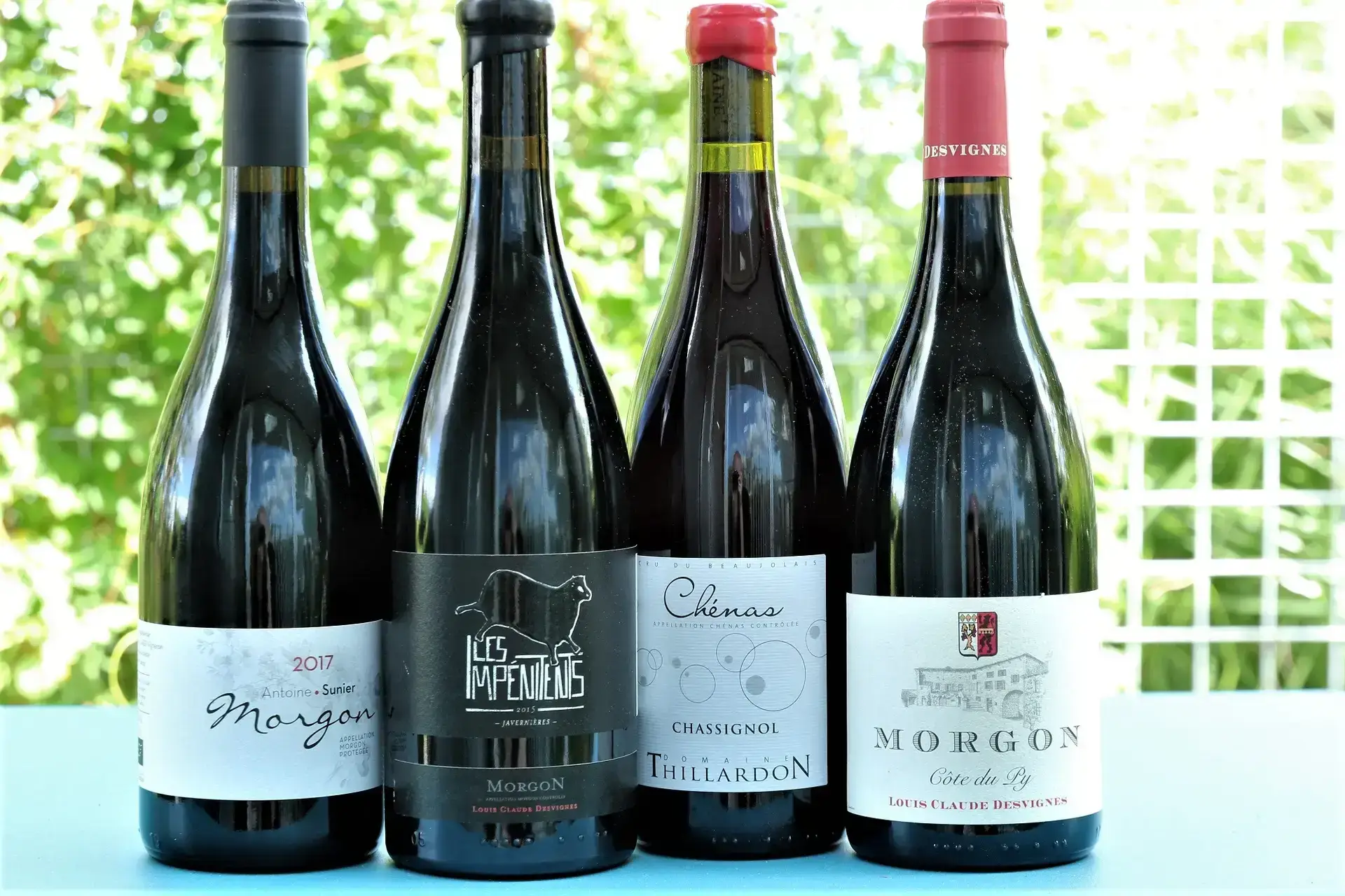 Fire store nyheder fra Morgon og Chénas i Beaujolais