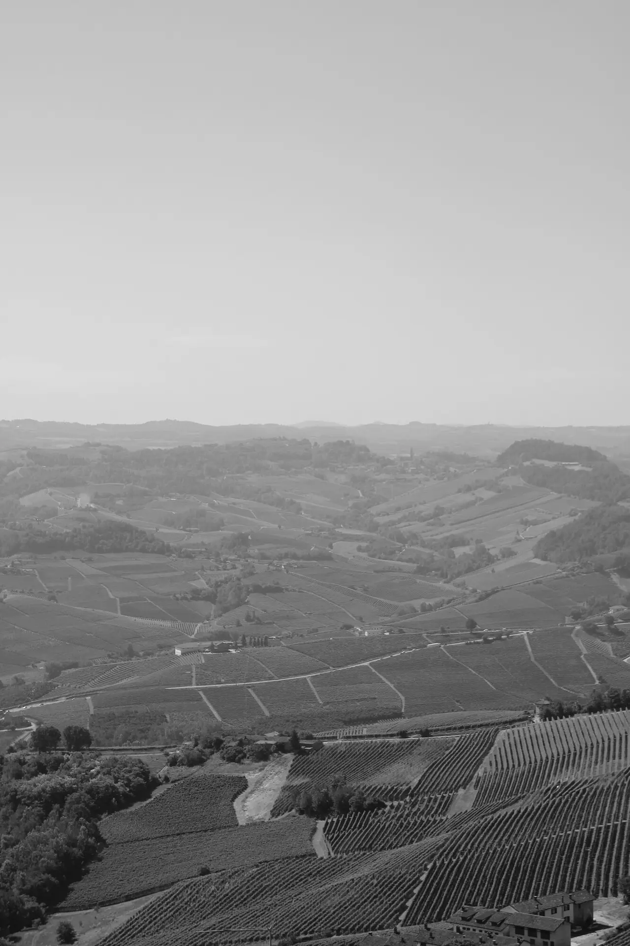 Favoritter fra Barolo og Barbaresco i 2016 og tanker om tannin