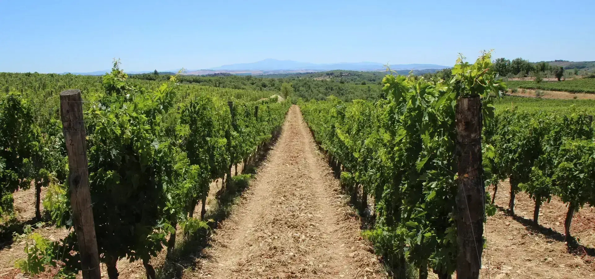Chianti Classico 2016… plus det løse. Subzoner nu!