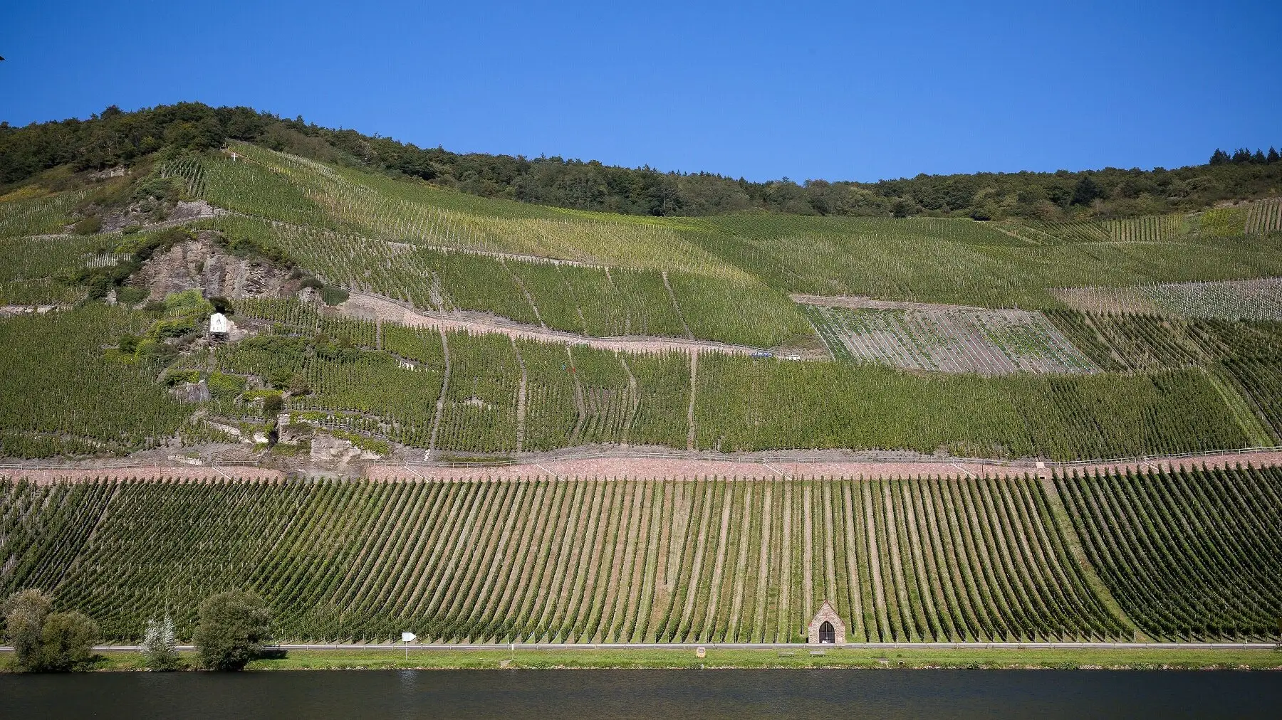 Mosels indre væsen – spätleser fra Wehlener Sonnenuhr