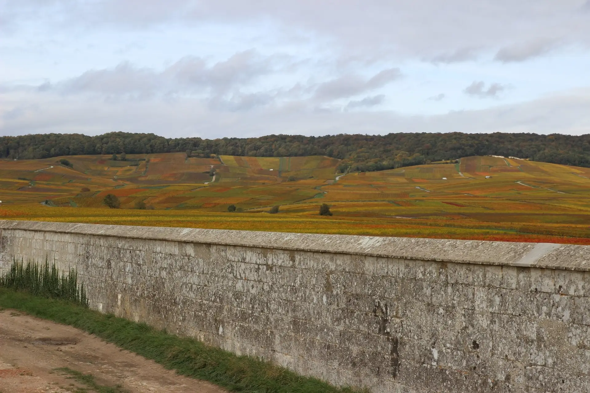 Nabostrid – Ambonnay og Bouzy. Champagnes pinot-land kapitel 2