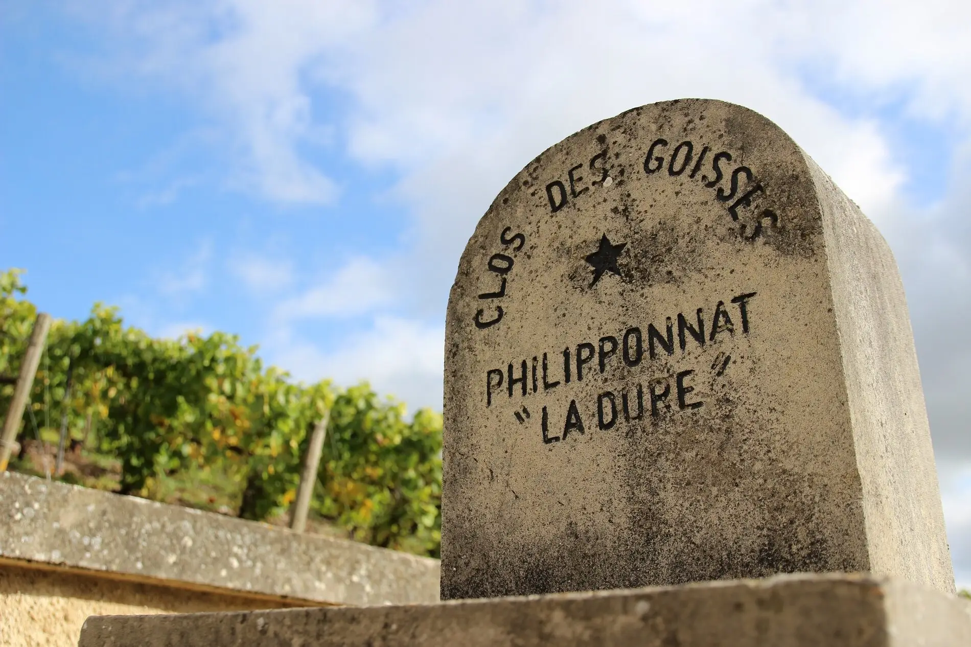 Kongekamp – Aÿ og Mareuil-sur-Aÿ. Champagnes Pinot-land kapitel 3