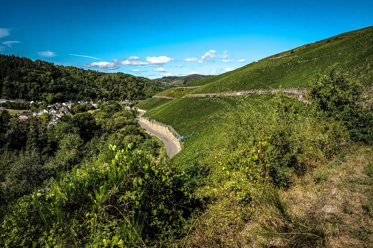 Wunderkind i Mosel