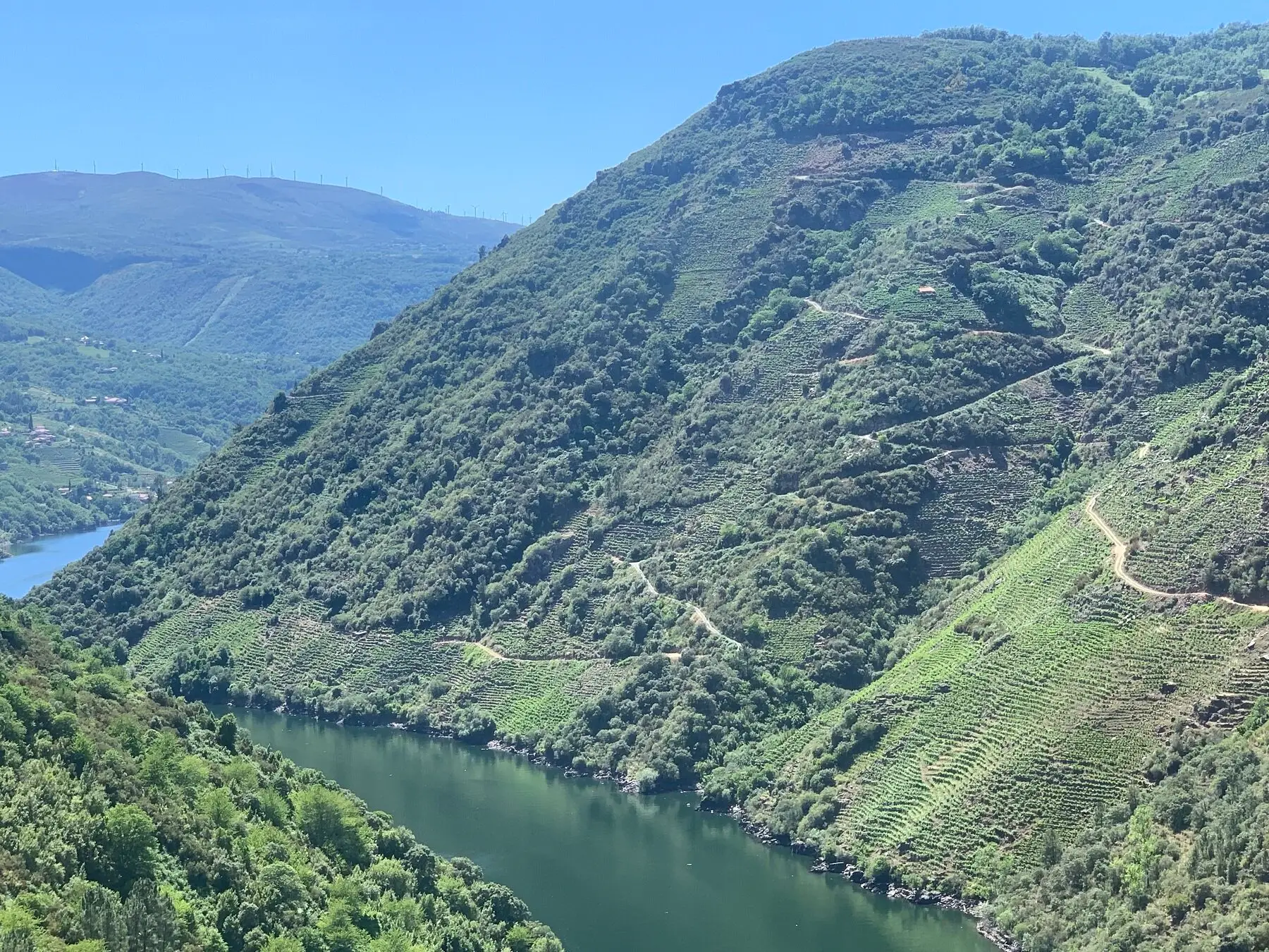 En ny stjerne i Ribeira Sacra… og den er dansk. Adega Damm Amandi