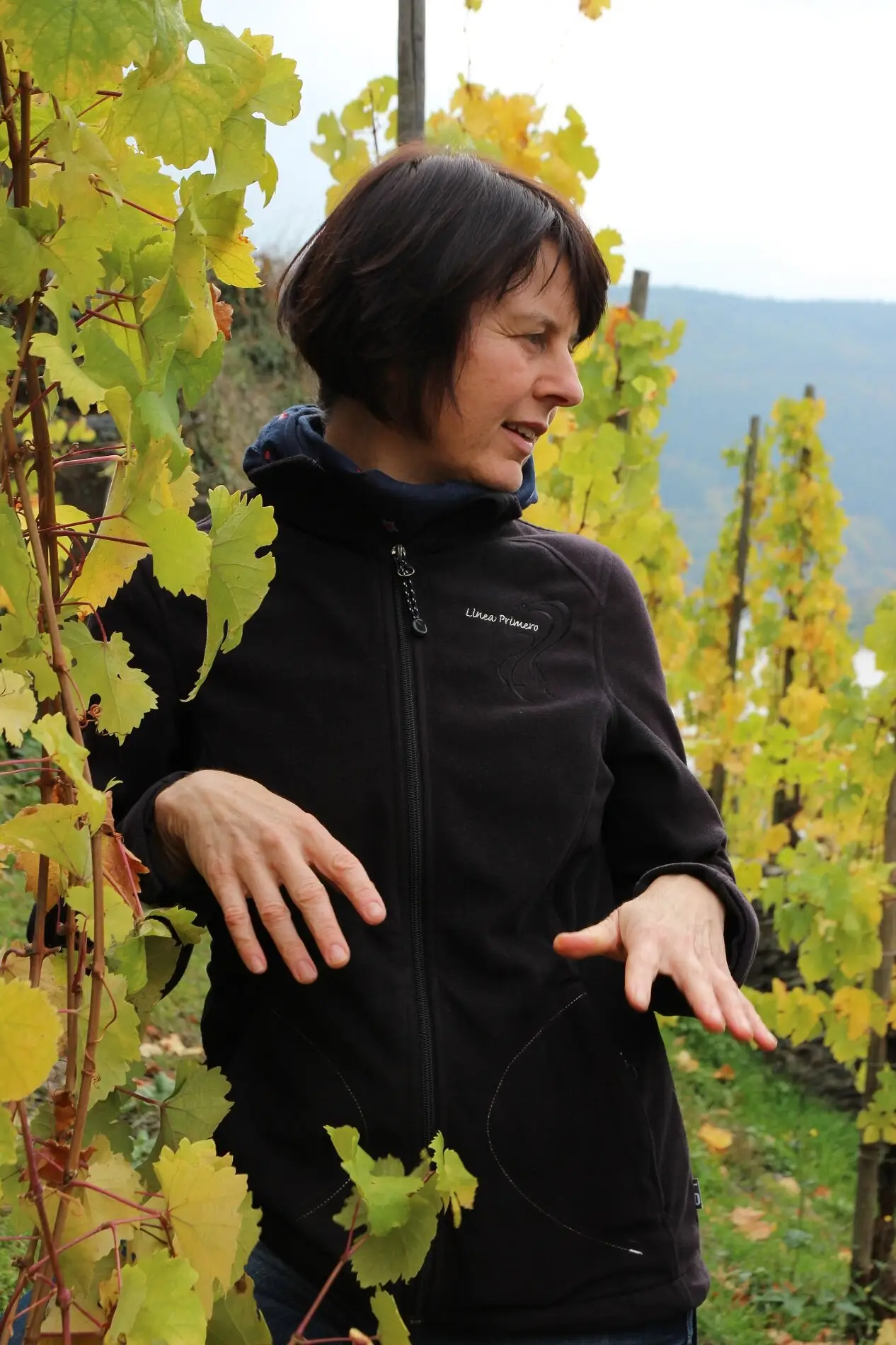 Filigran i Mosel – Weiser-Künstlers aktuelle release med fokus på 2019