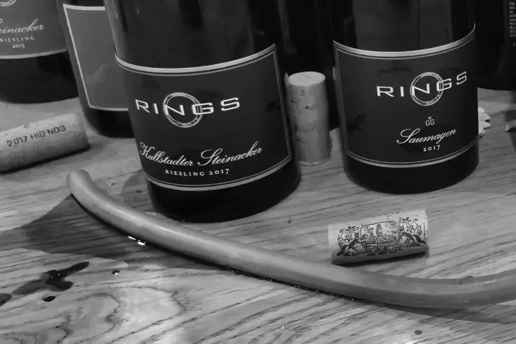 Weingut Rings – hør, hov! Spätburgunder når nye højder