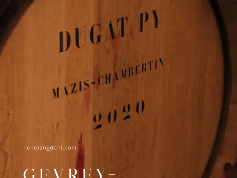 Gevrey-Chambertin årgang 2020 (2019) - vinrapport