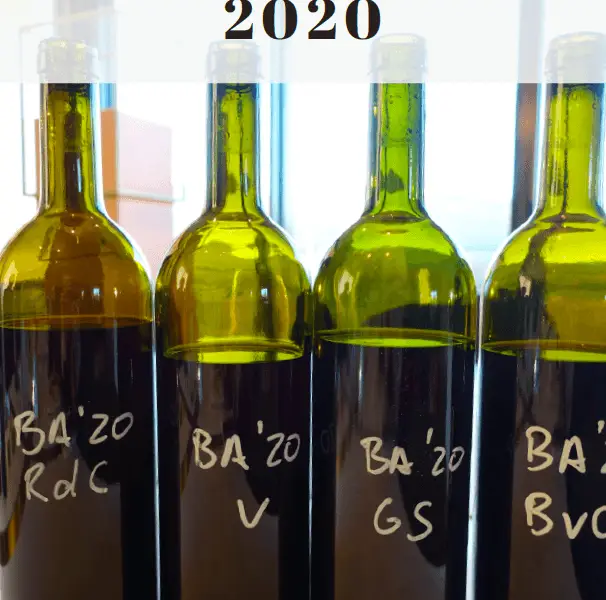 Barolo 2020 forside