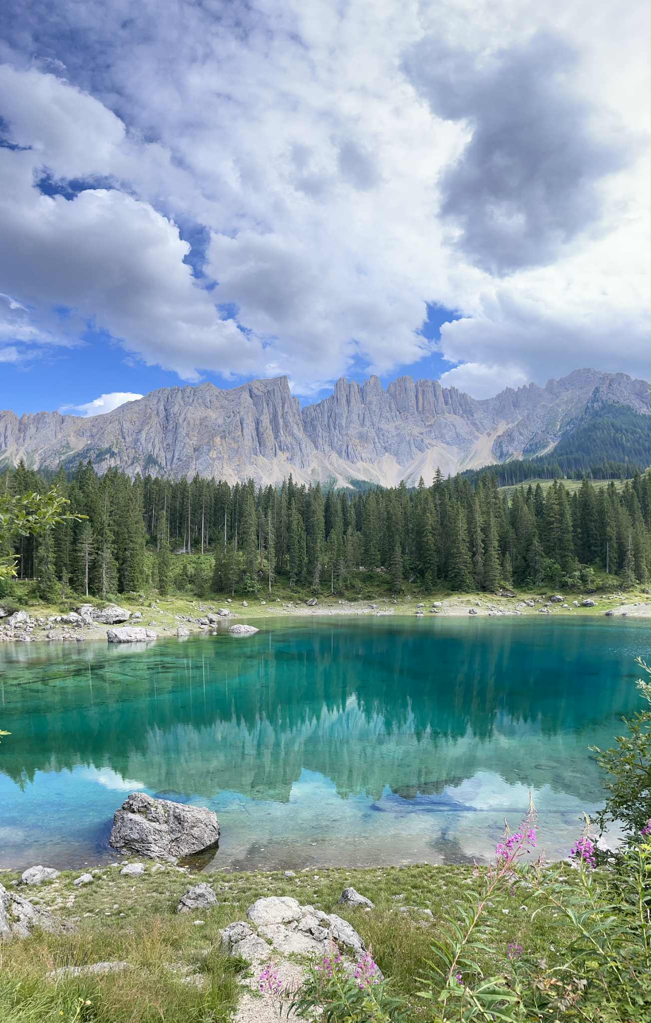 Alto Adige – bjergvin og tyrolermusik?