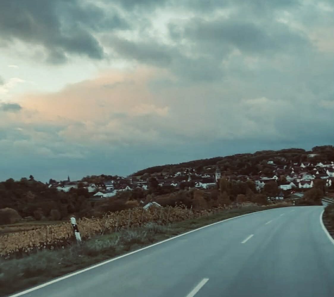 Pfalz minirapport – fokus på Mittelhaardt