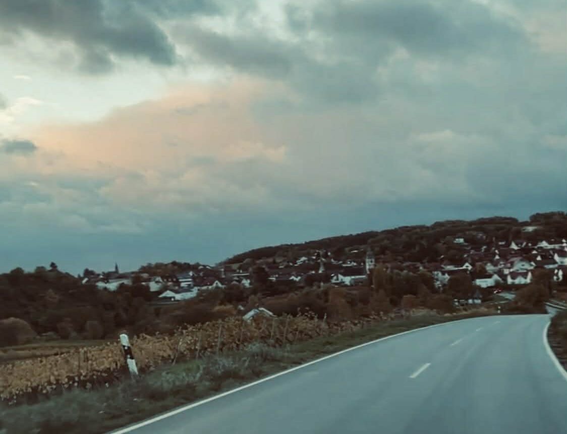 Pfalz minirapport – fokus på Mittelhaardt