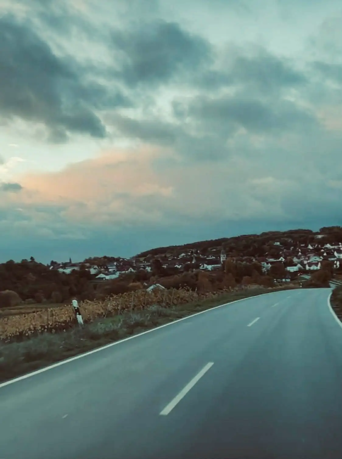 Pfalz minirapport – fokus på Mittelhaardt