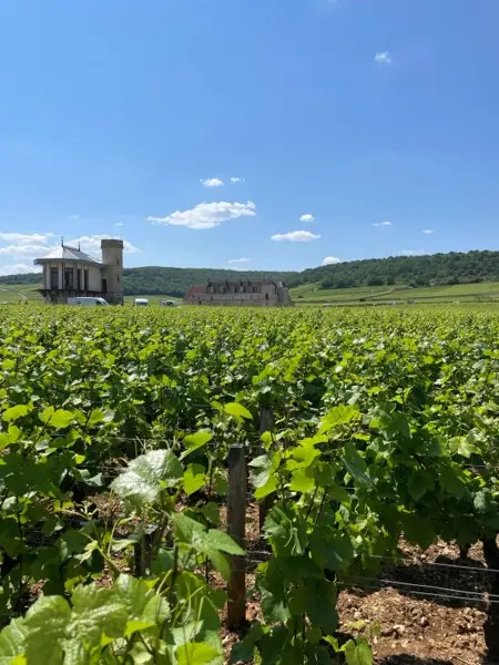 Les Climats de Bourgogne
