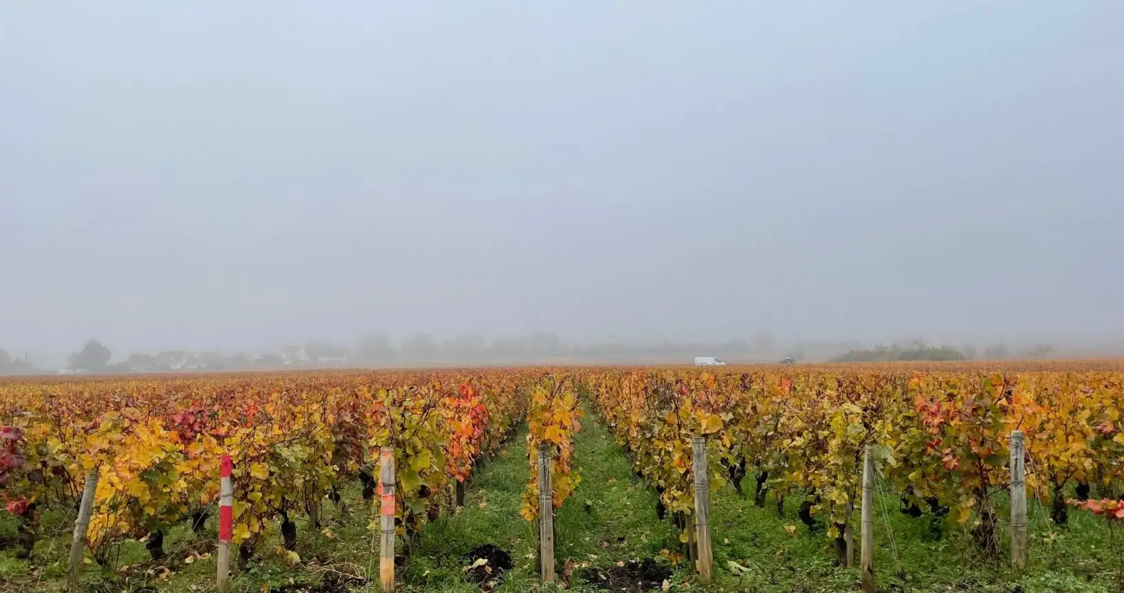 Gevrey-Chambertin – en introduktion