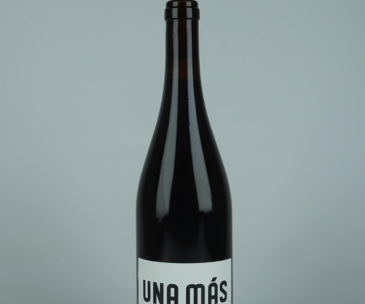 Mine yndlingsvine uge 11 – 2026