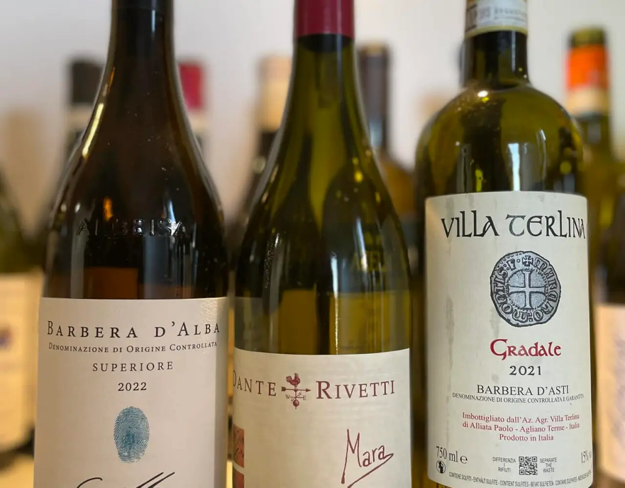 MÅNEDSTEST: Barbera fra Piemonte