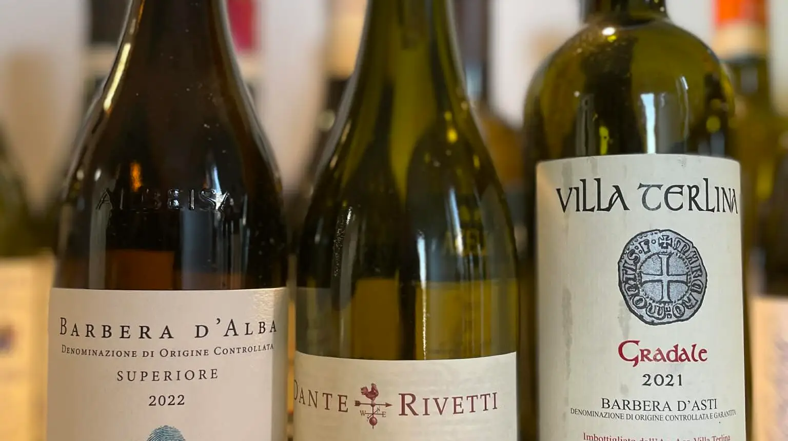 MÅNEDSTEST: Barbera fra Piemonte