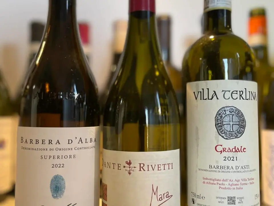 MÅNEDSTEST: Barbera fra Piemonte