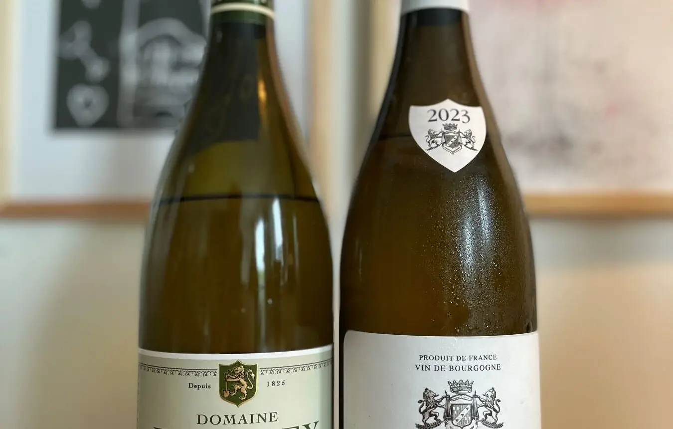 MÅNEDSTEST: Hvidvin fra Côte Chalonnaise