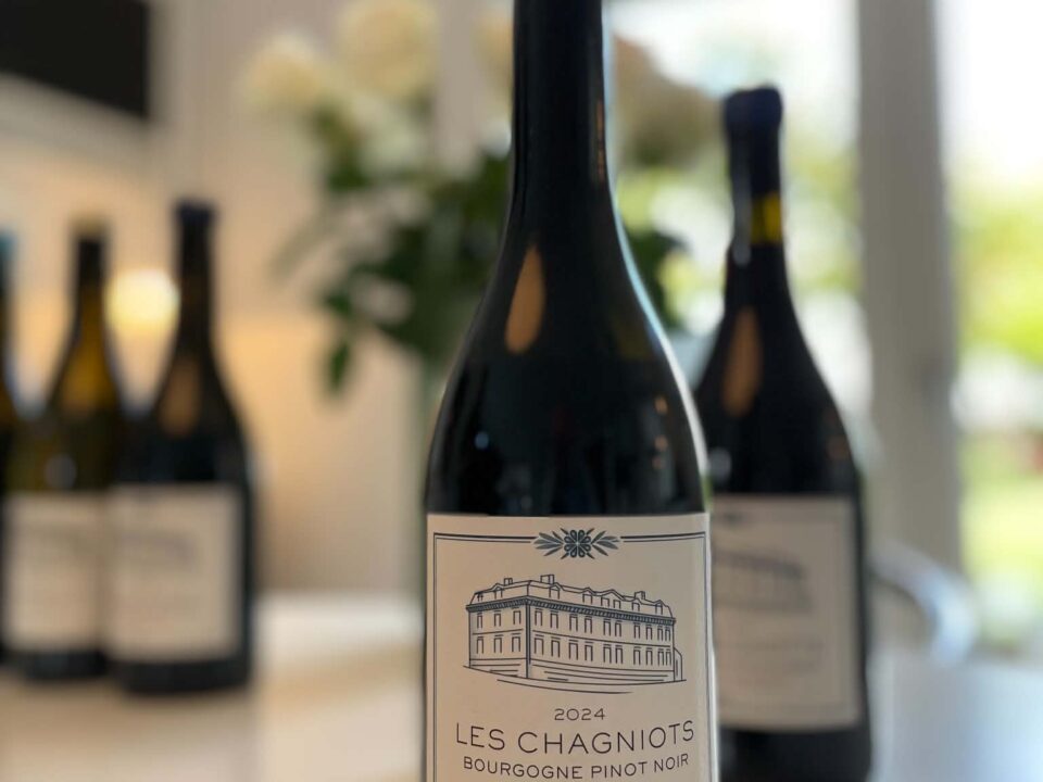 Camille Thiriet – Côte de Nuits-Villages’ nye “kunstner”