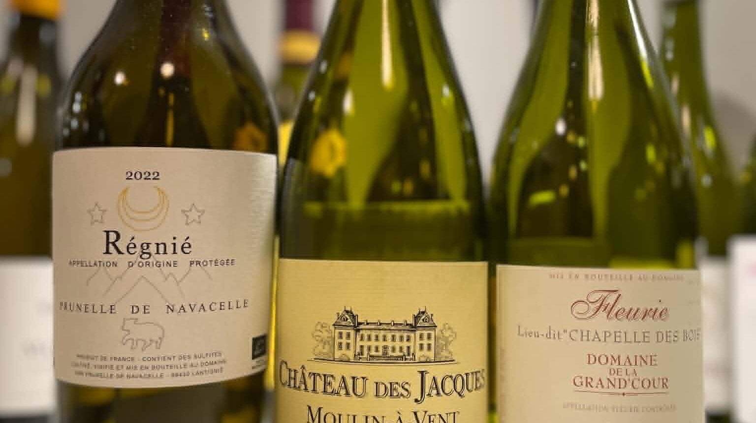 MÅNEDSTEST – cru beaujolais til max 350 kr.