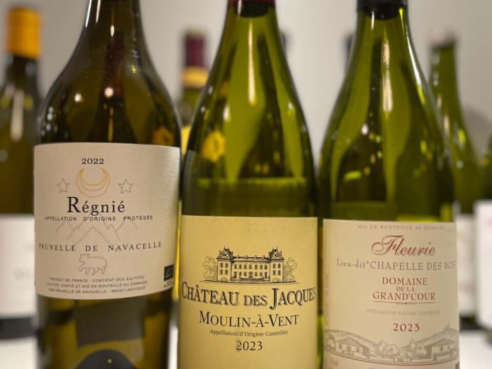 MÅNEDSTEST – cru beaujolais til max 350 kr.