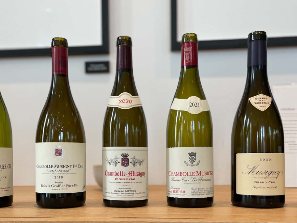 Chambolle-Musigny – et nærstudie med 6 topflasker