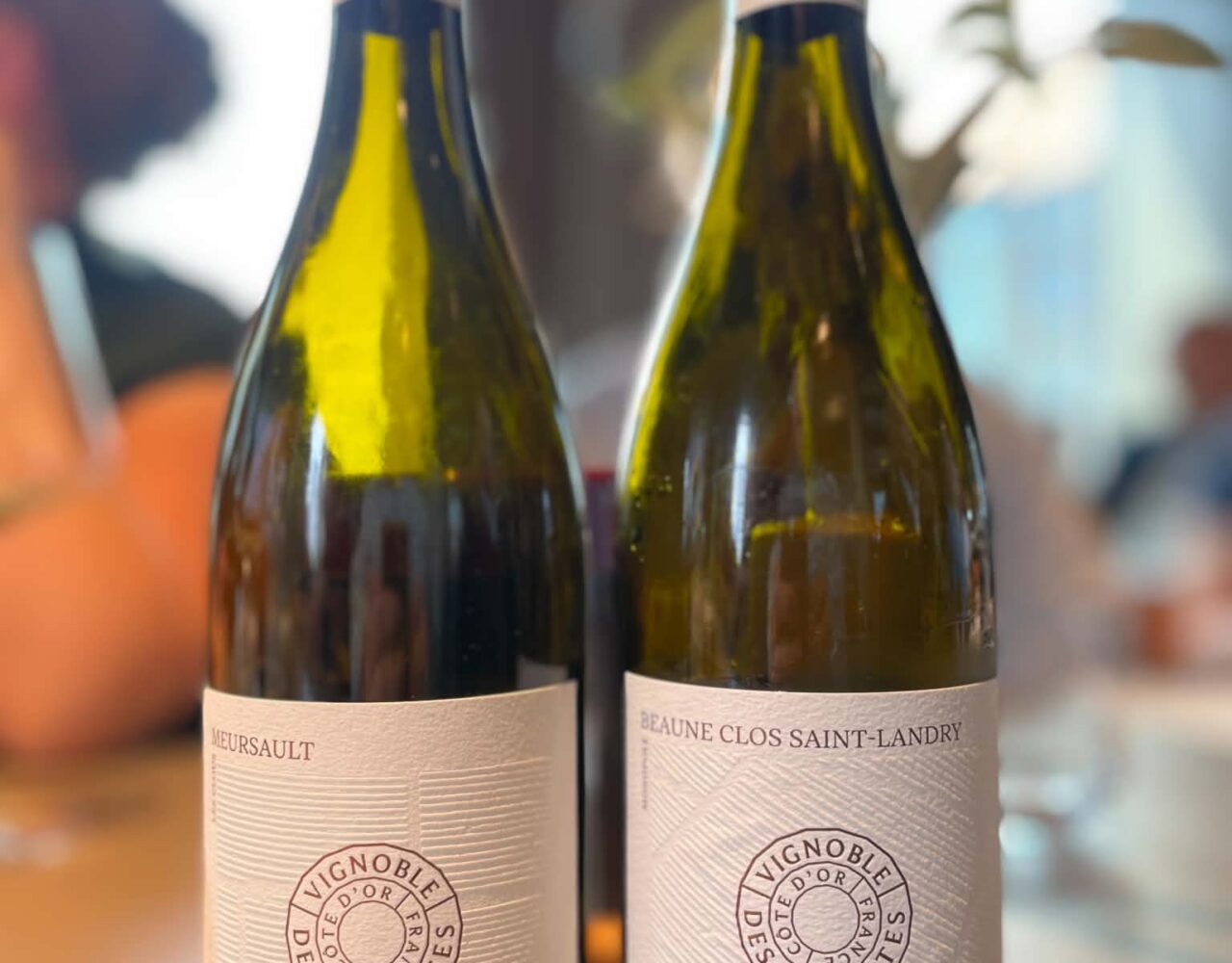 Domaine des Cabottes – “nyt” topdomæne i Bourgogne